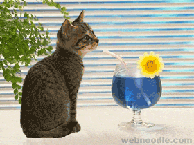 _logo_gif